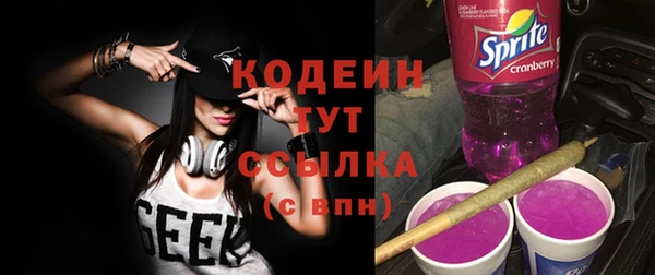 винт Липки
