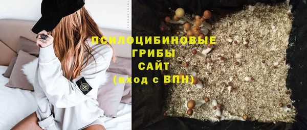 винт Липки