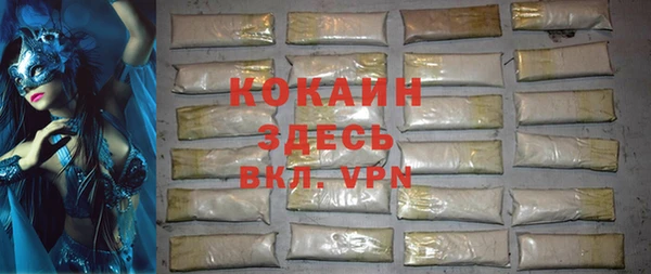 хмурый Лиски