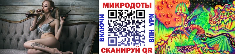 Галлюциногенные грибы Psilocybine cubensis  Купить где  Миасс 
